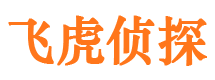 寿光市调查公司